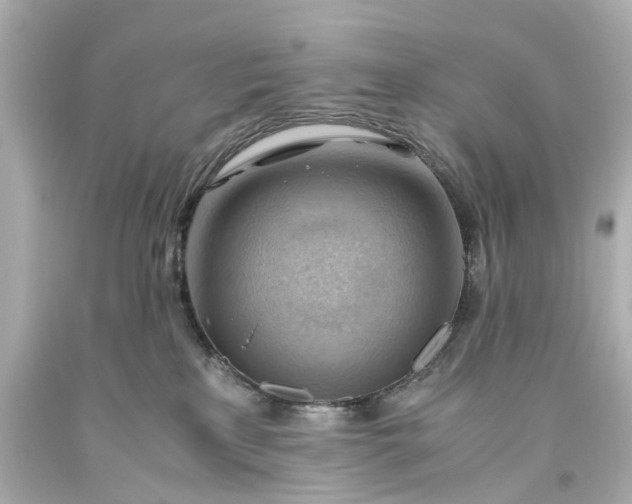 X0000093590233200710291129