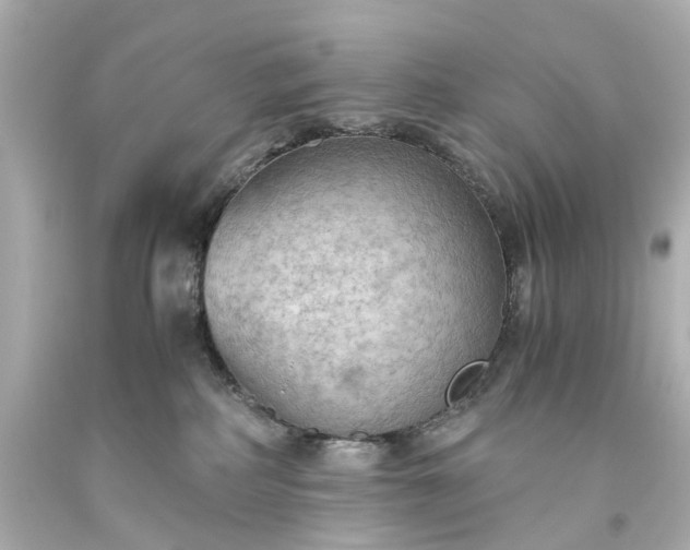 X0000093590234200710291129