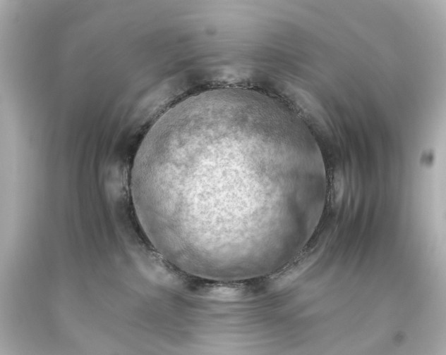 X0000093590236200710291129