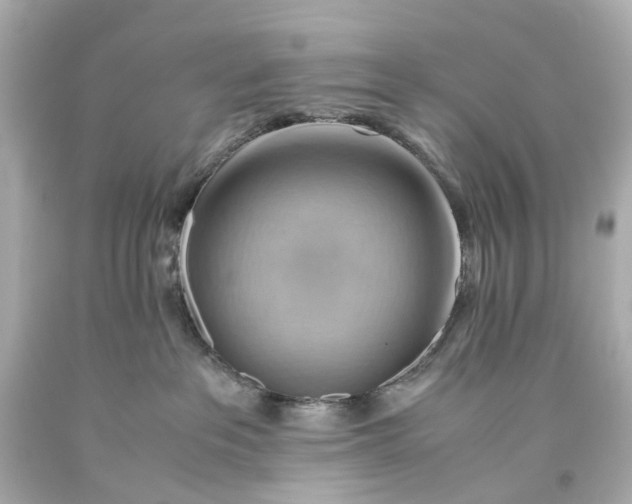 X0000093590237200710291129