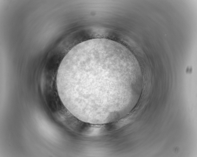 X0000093590240200710291129