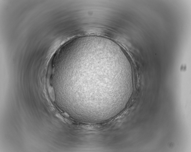 X0000093590241200710291128