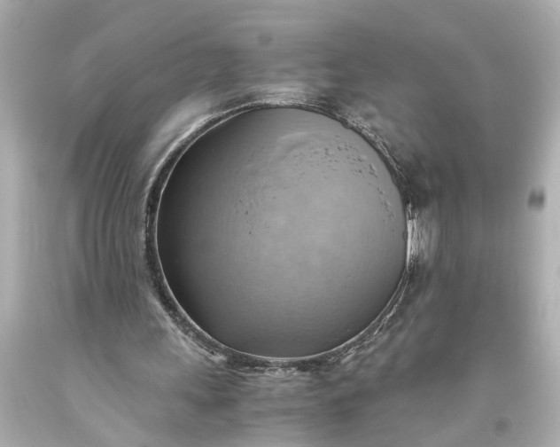 X0000093590243200710291128