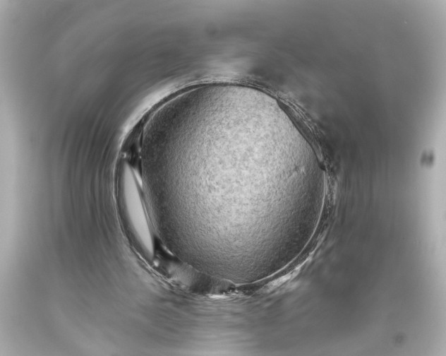 X0000093590244200710291128