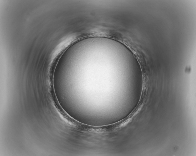 X0000093590245200710291128