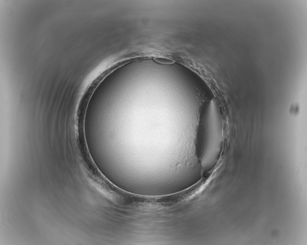 X0000093590246200710291128