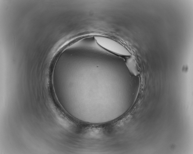 X0000093590247200710291128