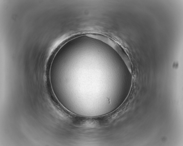 X0000093590248200710291128