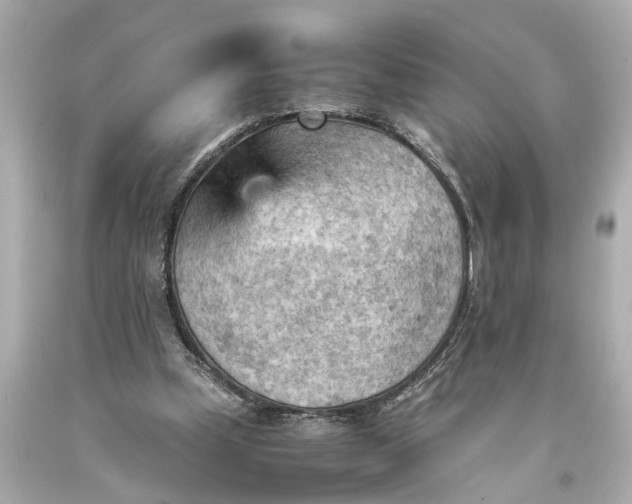 X0000093590249200710291128