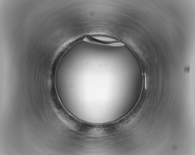 X0000093590252200710291128