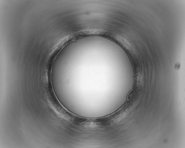 X0000093590254200710291128