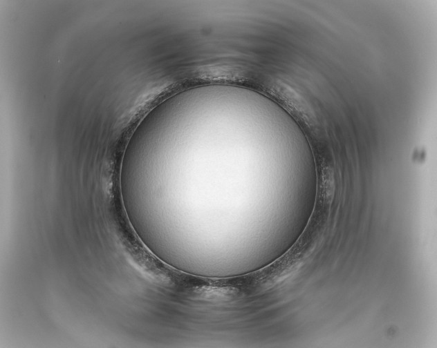 X0000093590255200710291128