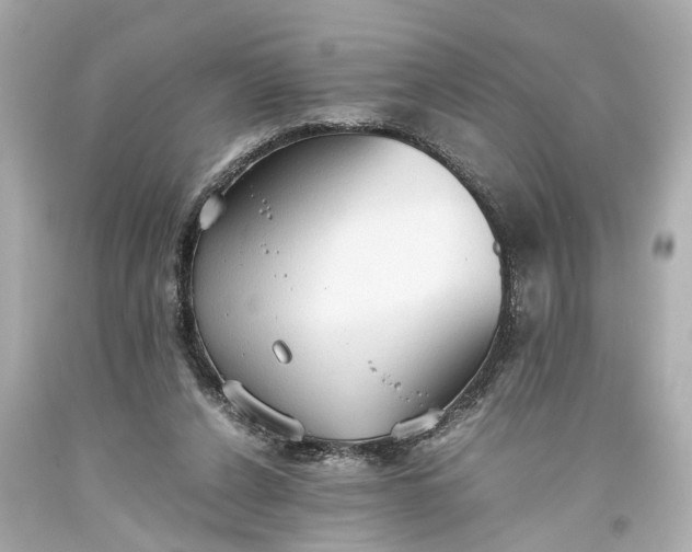 X0000093590256200710291128