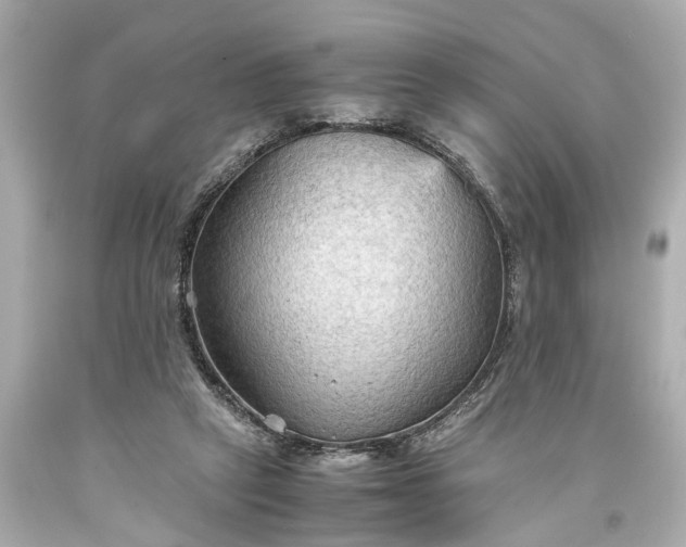 X0000093590257200710291128