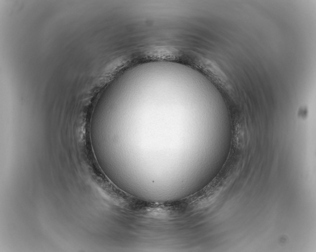 X0000093590259200710291128