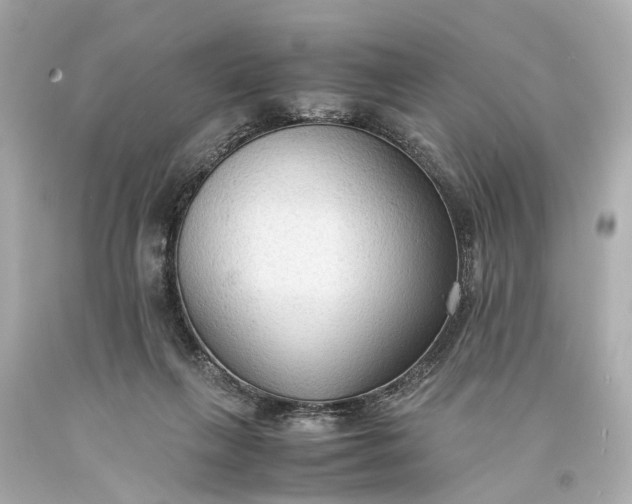 X0000093590263200710291128