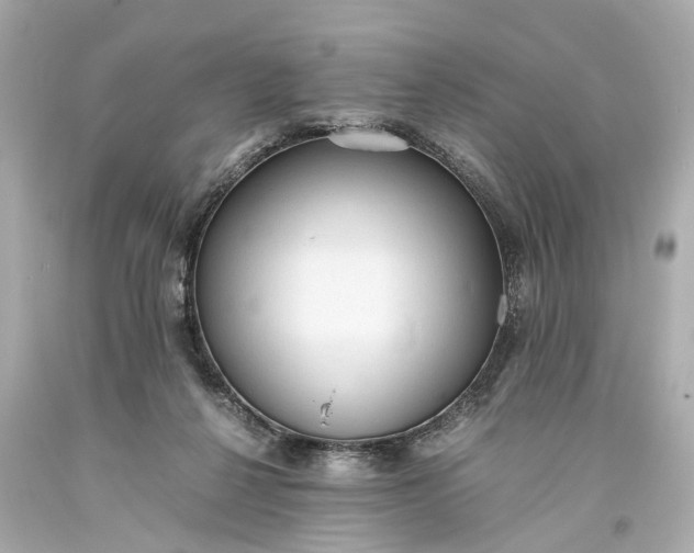 X0000093590264200710291128