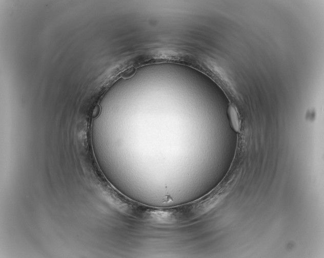 X0000093590265200710291128