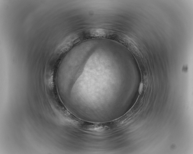 X0000093590267200710291128