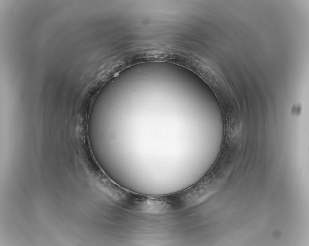 X0000093590270200710291128