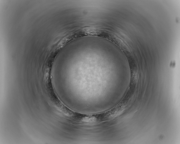 X0000093590271200710291128