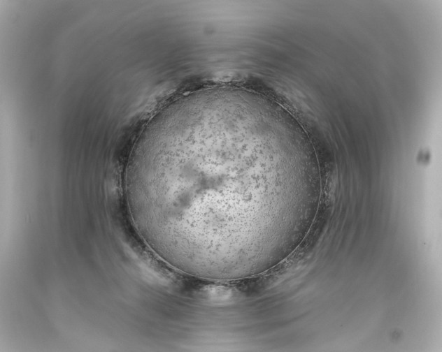 X0000093590272200710291128