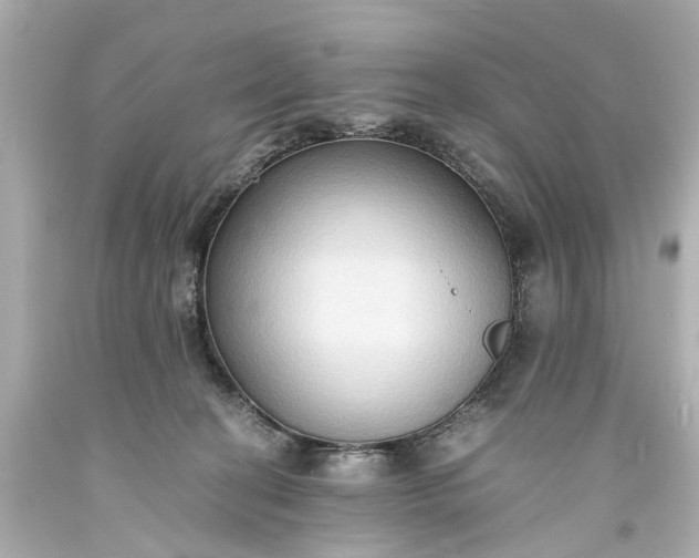 X0000093590274200710291128