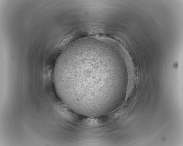 X0000093590276200710291128