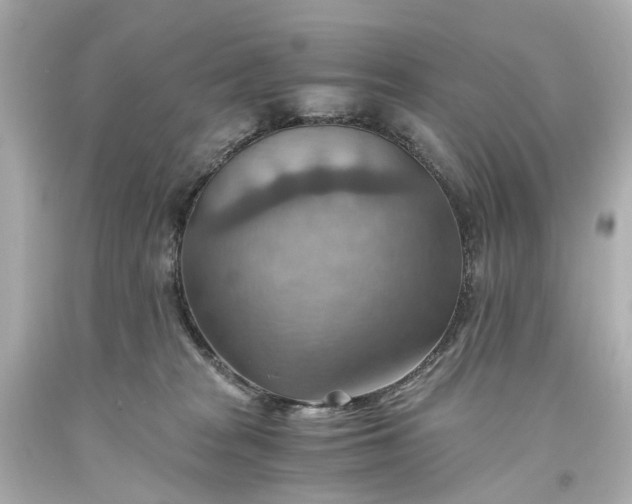 X0000093590277200710291128