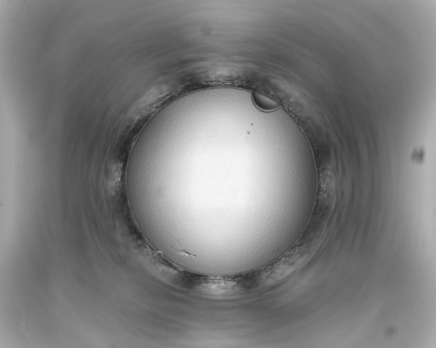 X0000093590278200710291128