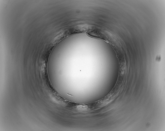 X0000093590279200710291128