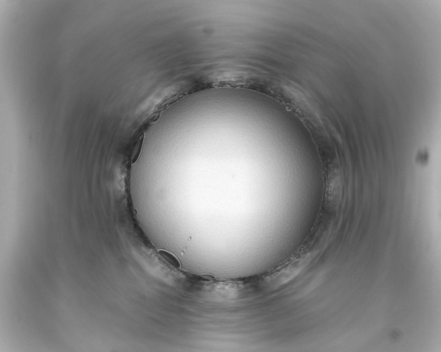 X0000093590282200710291128
