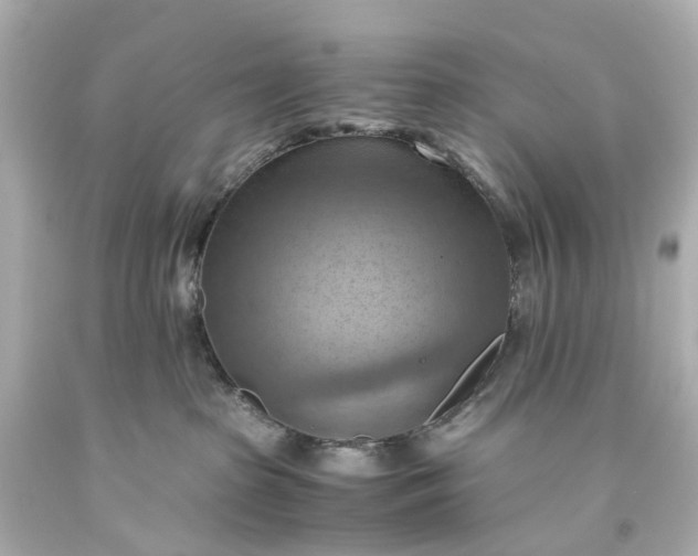 X0000093590285200710291129