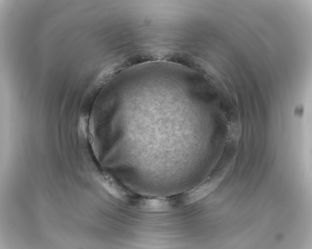X0000093590286200710291129