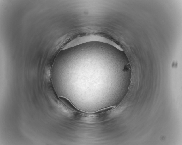 X0000093590288200710291129