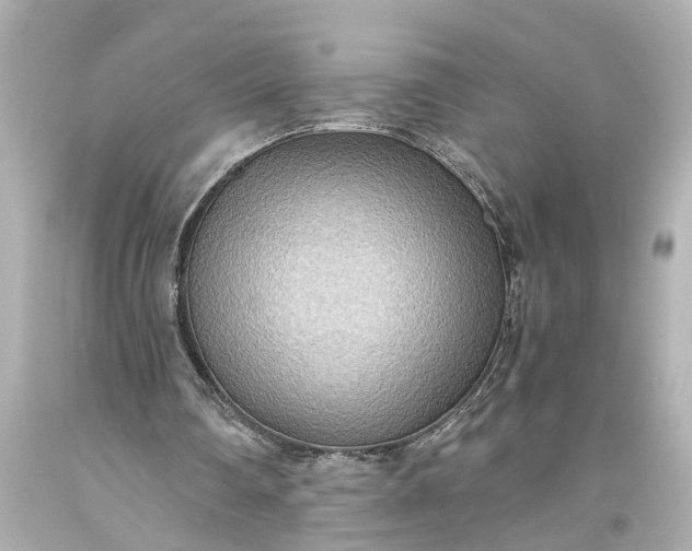 X0000093590290200710291128