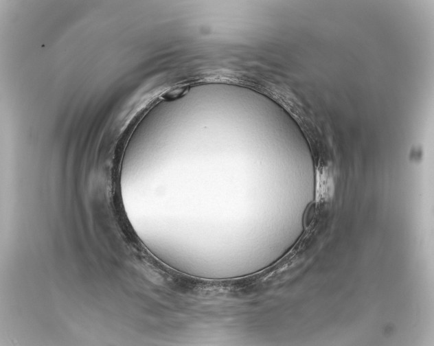 X0000093590291200710291128