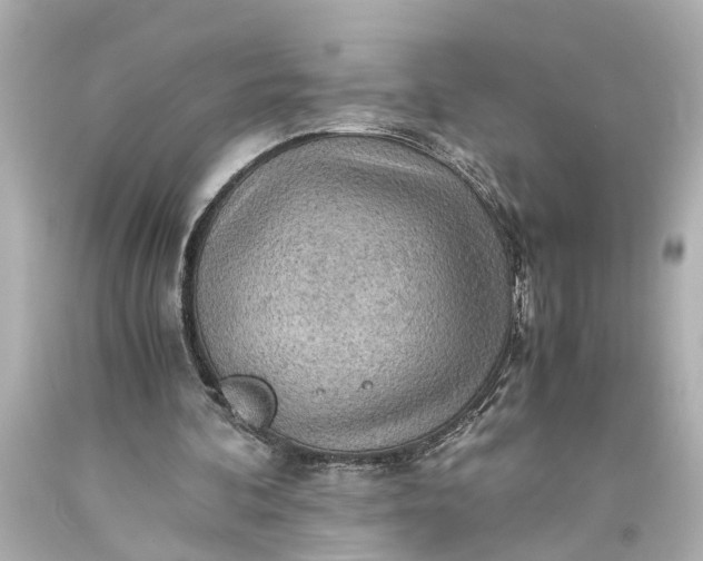 X0000093590292200710291128