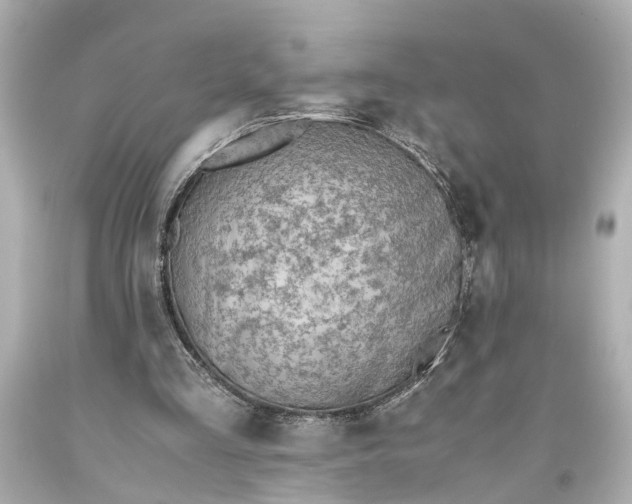X0000093590293200710291128