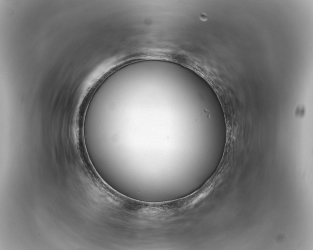 X0000093590294200710291128