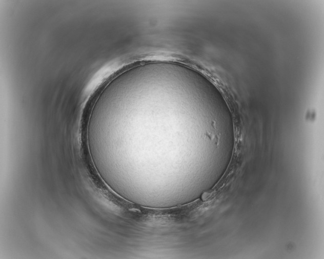 X0000093590296200710291128