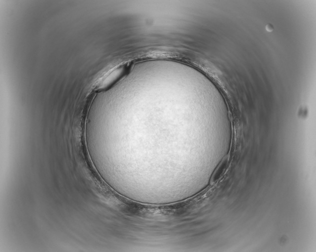 X0000093590297200710291128