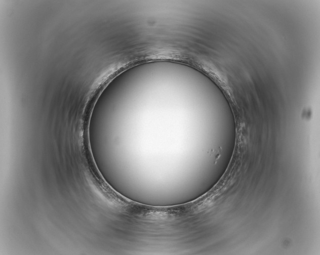X0000093590298200710291128