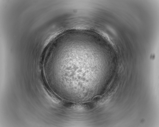X0000093590299200710291128