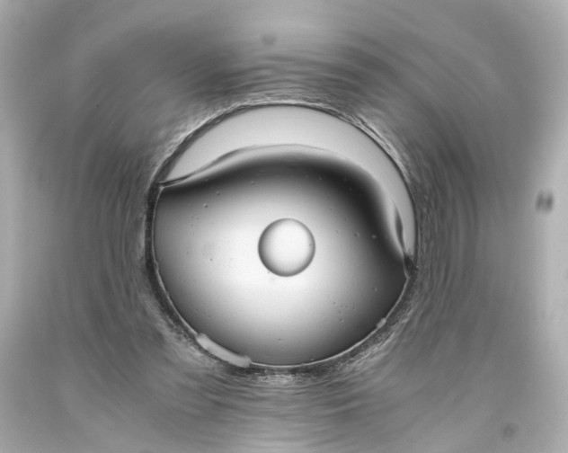 X0000093590301200710291128