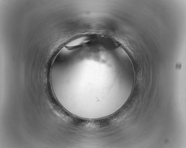 X0000093590303200710291128