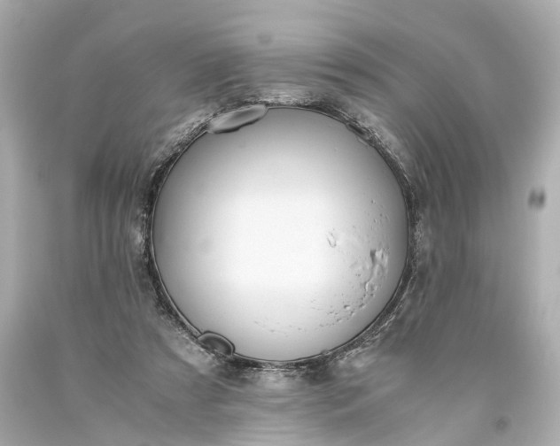 X0000093590305200710291128