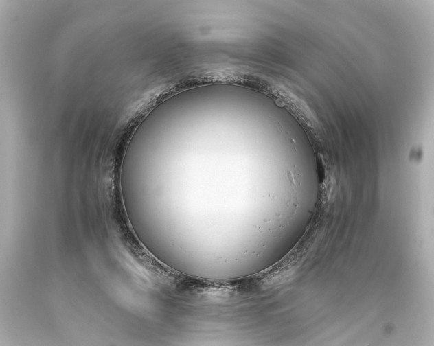 X0000093590306200710291128