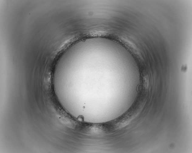 X0000093590308200710291128