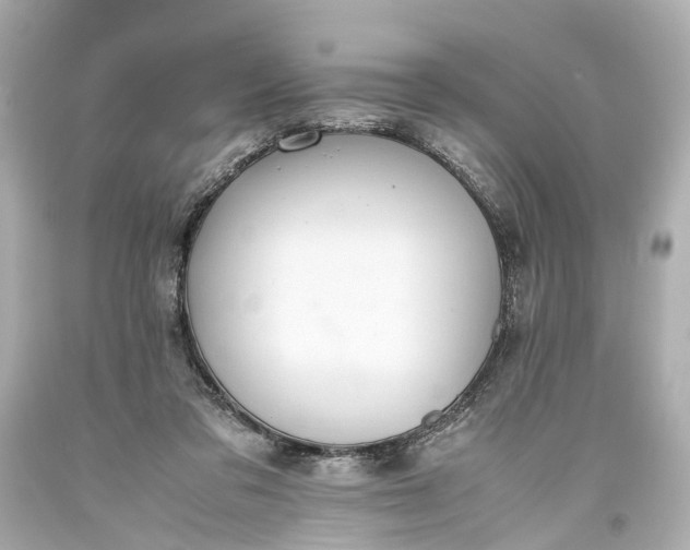 X0000093590309200710291128